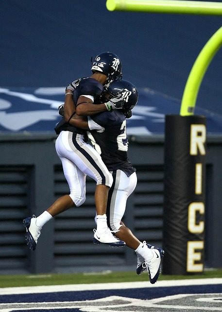 国乃至世界 国乃至世界