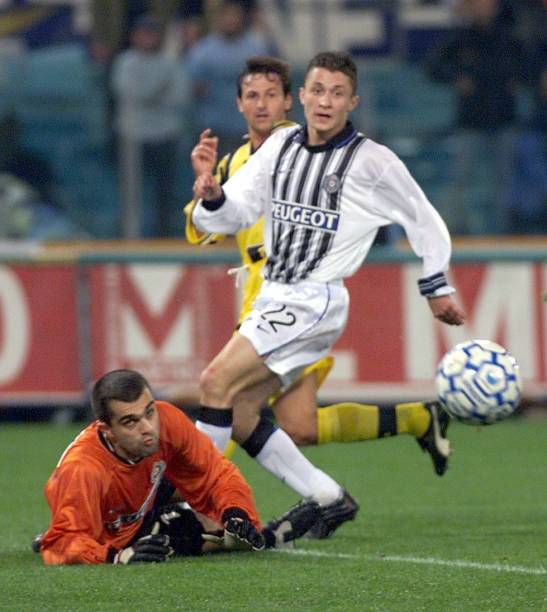 中的地位 中的地位